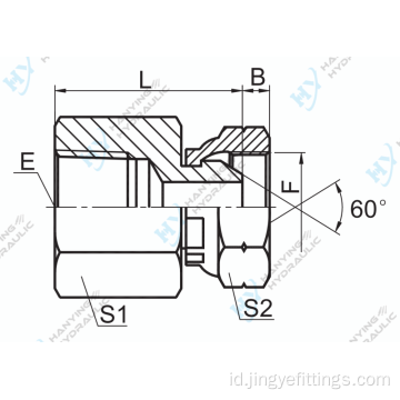 NPT betina/BSP wanita 60 kerucut